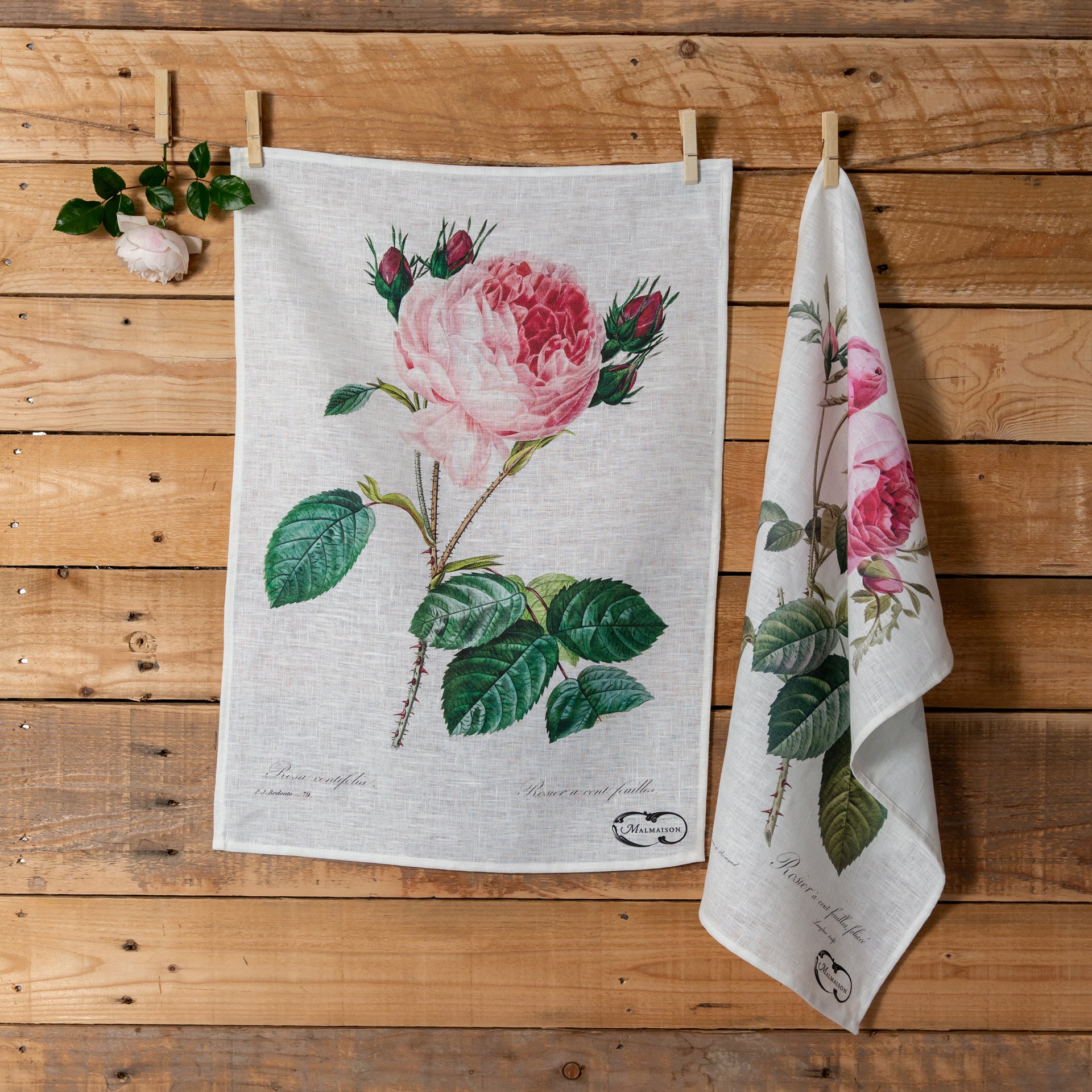 Empress - Redouté 'Centifolia Roses' - Linen Tea Towel