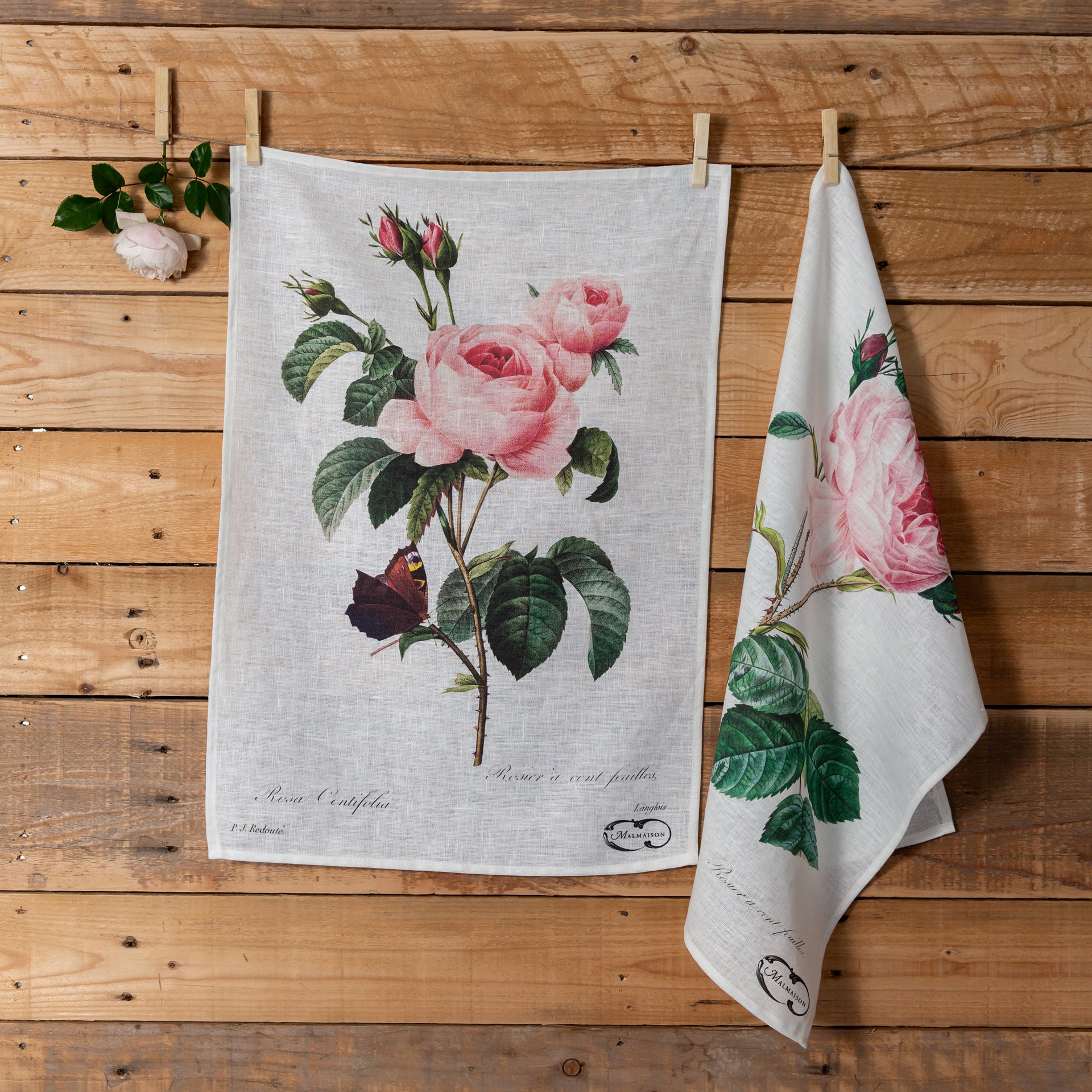 Empress - Redouté 'Provence Rose' - Linen Tea Towel