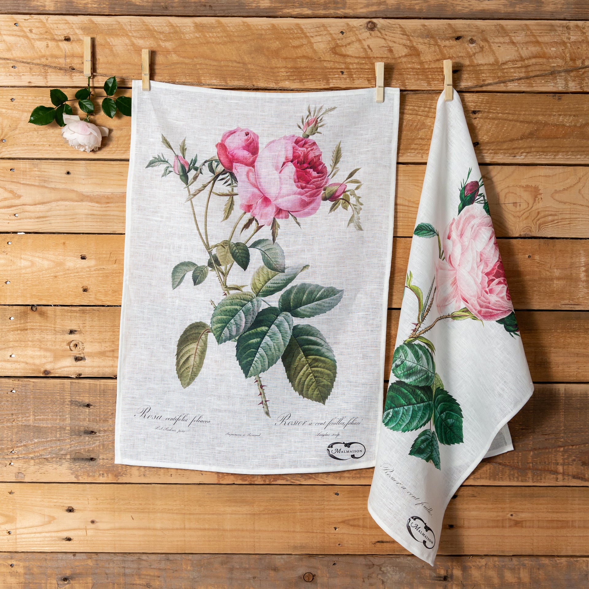 Empress - Redouté 'Rosa Centifolia' - Linen Tea Towel