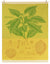 Tissage Moutet - Citrus Tea Towel